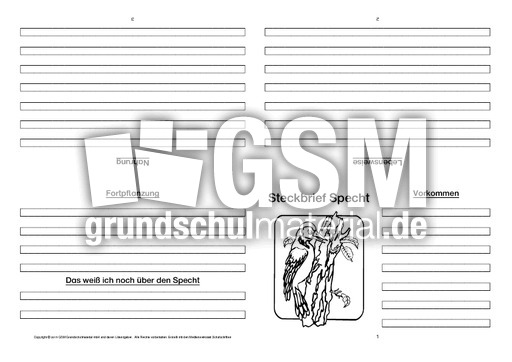 Specht-Faltbuch-vierseitig.pdf